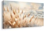 Dovido Tablou iarbă de pampas pe plajă - 40x30