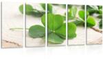 Dovido Tablou 5-piese trifoi cu patru foi verde - 150x75