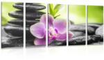 Dovido Tablou 5-piese compoziție Zen tropicală - 200x100