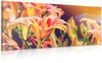 Dovido Tablou flori înfloritoare frumoase de grădină - 80x40