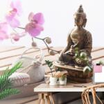 Dovido Fototapet autoadeziv natura moartă perfectă meditativă - 147x99 - dovido - 200,35 RON