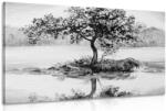 Dovido Tablou cireș oriental în design alb-negru - 30x20