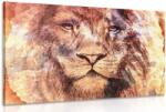 Dovido Tablou cap de leu - 120x80