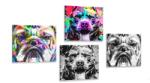 Dovido Set tablouri câini în stilul pop art - 4x 60x60