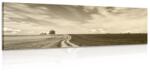 Dovido Tablou peisajul încăntător în design sepia - 120x40