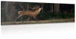 Dovido Tablou cerbul maiestuos - 120x40