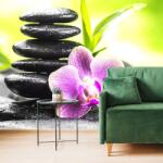 Dovido Fototapet autoadeziv compoziție Zen meditativă - 245x165