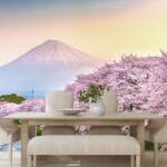 Dovido Fototapet Japonia minunată - 539x363