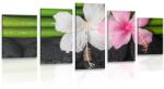 Dovido Tablou 5-piese wellness natura moartă - 100x50