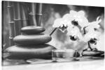 Dovido Tablou spa natura moartă în design alb-negru - 120x80
