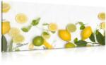 Dovido Tablou mix de fructe citrice - 80x40