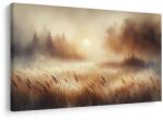 Dovido Tablou zori cețoși - 40x30