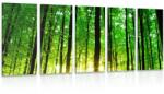 Dovido Tablou 5-piese pădure proaspăt verde - 200x100