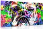 Dovido Tablou pop-art buldog - 120x80