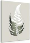 Dovido Tablou frunzuliță de ferigă minimalistă - 80x120