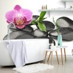 Dovido Tapet pietre wellness de masaj - 343x231