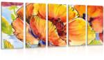 Dovido Tablou 5-piese buchetul florilor de mac - 150x75