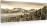 Dovido Tablou munții înghețați în design sepia - 100x50