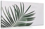 Dovido Tablou frunză palmier inedit - 40x30