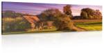 Dovido Tablou peisaj rural - 90x30
