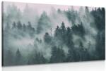 Dovido Tablou munți în ceață - 40x30