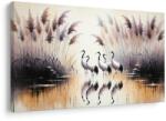 Dovido Tablou cocori lângă stuf - 120x80