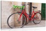 Dovido Tablou bicicletă rustică - 40x30