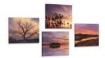 Dovido Set tablouri natura plină de culori romantice - 4x 60x60