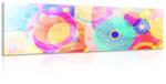 Dovido Tablou cercuri colorate - 120x40