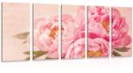 Dovido Tablou 5-piese bujorul delicat - 150x75