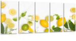 Dovido Tablou 5-piese amestec de fructe citrice - 100x50