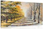 Dovido Tablou alee copacilor de toamnă - 60x40