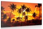 Dovido Tablou palmieri de cocos pe plajă - 90x60
