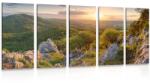 Dovido Tablou 5-piese natura scăldată de soare - 100x50