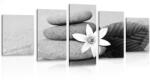 Dovido Tablou 5-piese floare și pietre în nisip în design alb-negru - 150x75