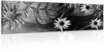 Dovido Tablou flori pe fundal alb-negru - 135x45
