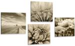 Dovido Set de tablouri câmp cu flori în design sepia - 4x 60x60
