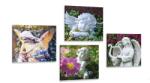 Dovido Set tablouri atingere de - 4x 60x60