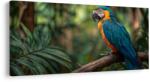 Dovido Tablou papagal printre frunze tropicale - 80x40