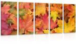 Dovido Tablou 5-piese frunzele toamnei - 100x50