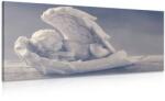 Dovido Tablou înger dormind - 60x30