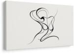 Dovido Tablou linie delicată a corpului feminin - 30x20