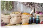 Dovido Tablou plante medicinale - 120x80