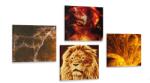 Dovido Set tablouri animale abstracte - 4x 40x40