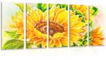 Dovido Tablou 5-piese floarea-soarelui frumoasă - 100x50
