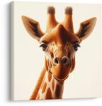 Dovido Tablou privire detaliată a girafei - 30x30