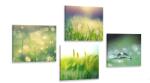 Dovido Set tablouri roua de dimineață pe luncă - 4x 60x60