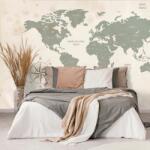 Dovido Tapet autoadeziv harta lumii decentă - 490x330