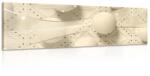 Dovido Tablou lux alb în design sepia - 135x45