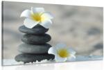 Dovido Tablou pietre armonice și floare plumeria - 60x40
